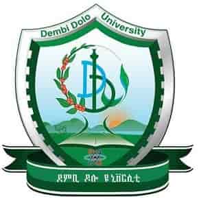 Dembi Dolo University Ethiopia Job Vacancy 2021 2