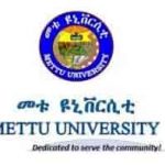 Mettu University Ethiopia Job Vacancy