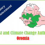 Forestry Officer and Finance Officer Ethiopia Job Vacancy 2021