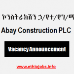 Internal Auditor Ethiopia Job Vacancy 2021