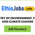 Regional Project Coordinator Ethiopia Job Vacancy 2021