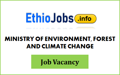 Regional Project Coordinator Ethiopia Job Vacancy 2020