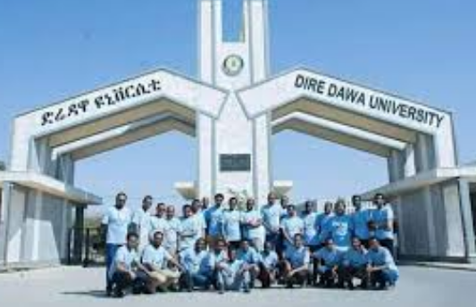 Professor and Lecturer Ethiopia Job Vacancy 2020