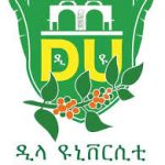 Dilla University Ethiopia Job Vacancy