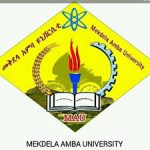 Mekdela Amba University Job Vacancy