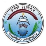 Wachemo University Job Vacancy