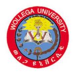 Wollega University Job Vacancy