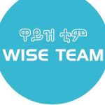 Wise Team PLC Job Vacancy