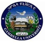 Gambela University Job Vacancy 2021