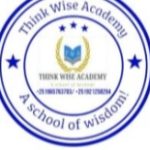 Think Wise Academy PLC Job Vacancy
