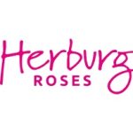 Herburg Roses PLC Job Vacancy