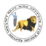 Lion Security Service PLC Job Vacancy