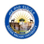 Madda Walabu University Job Vacancy